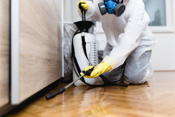 Reliable Opa Locka, FL Pest Control Solutions
