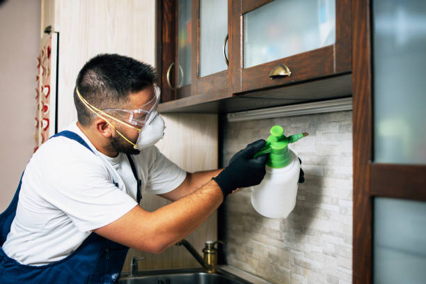 Best Flea Control Services  in Opa Locka, FL