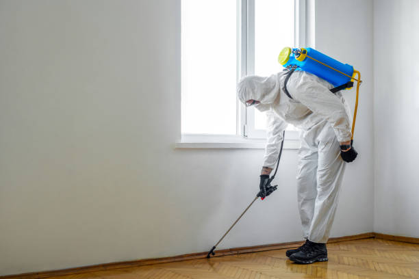 Best Termite Control Services  in Opa Locka, FL