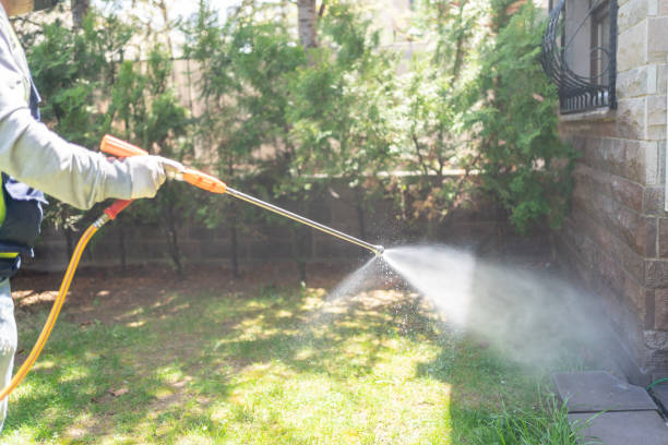Best Insect Control  in Opa Locka, FL