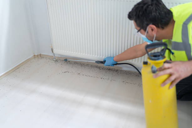 Best Pest Control Near Me  in Opa Locka, FL