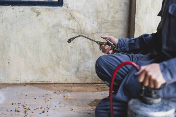 Best Wasp Removal Services  in Opa Locka, FL