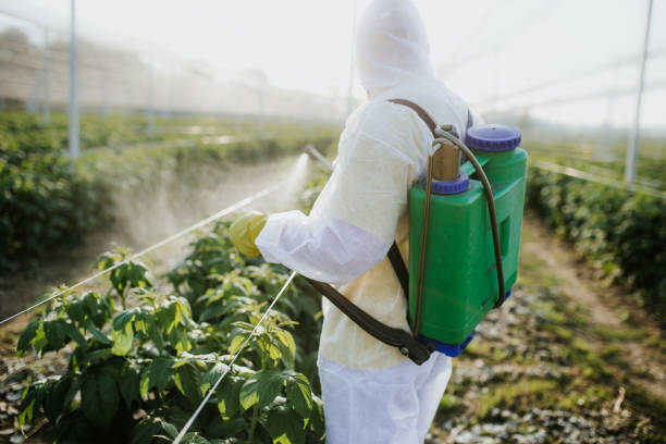 Best Best Pest Control Companies  in Opa Locka, FL